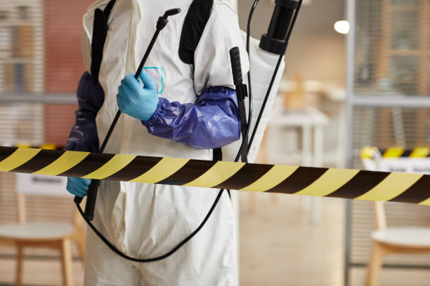 Professional Sewage Cleanup technician working in Manorville, NY